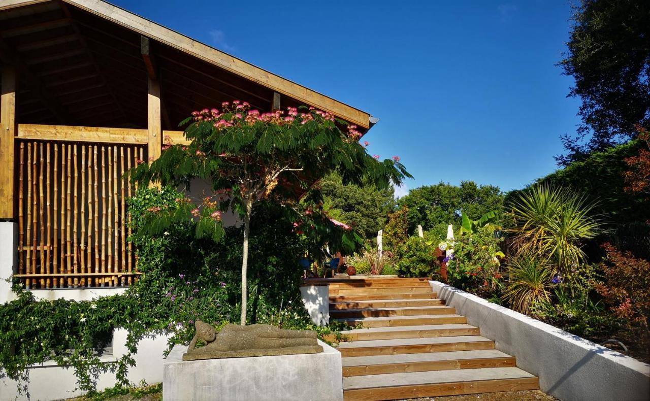 Villa Hossegor - 4 Etoiles, 6 Chambres - 5 Salles De Bains - Piscine Chauffee 5 Mn Des Plages Soorts-Hossegor Exteriér fotografie